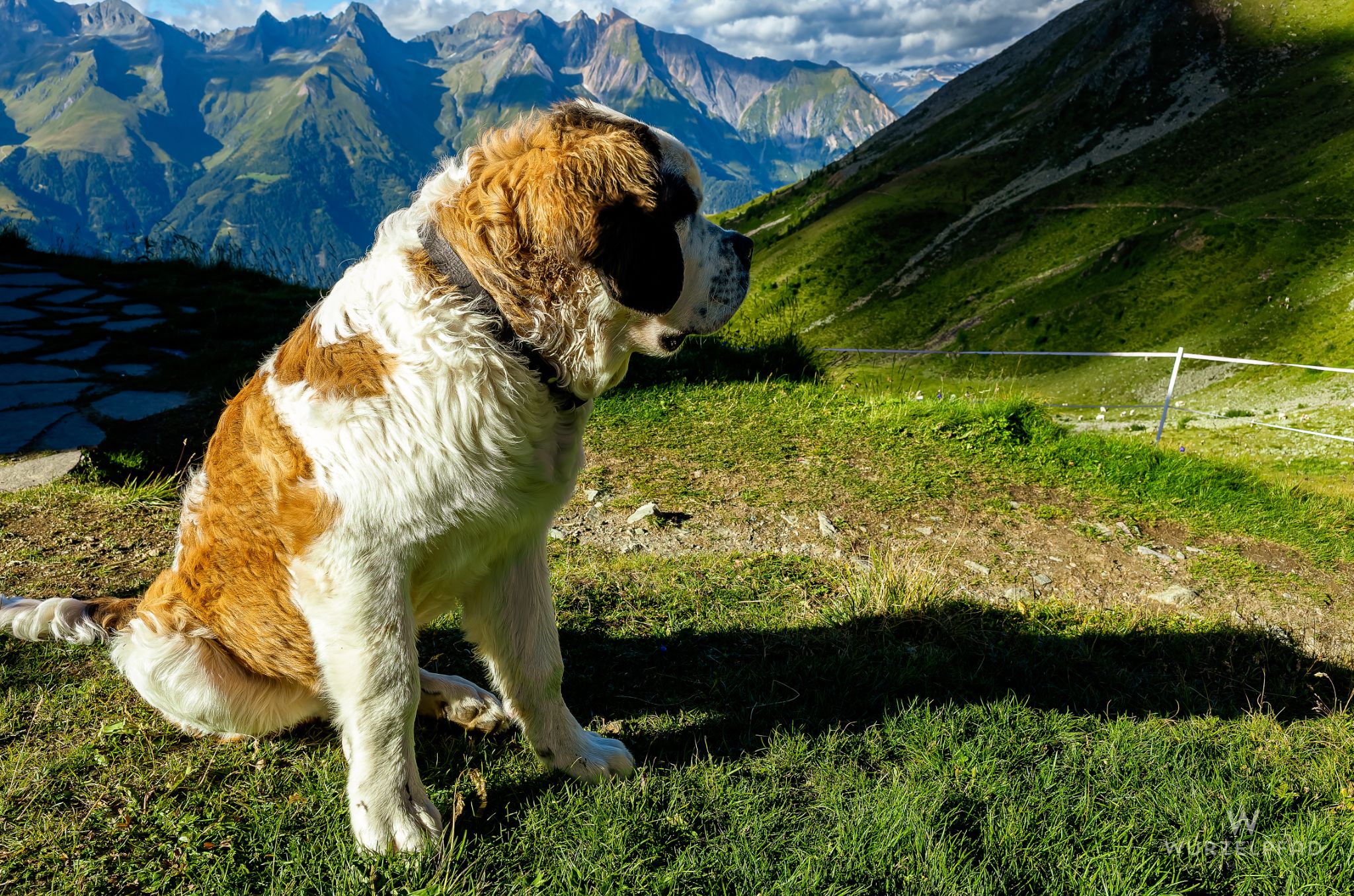 Der Bewacher der Zupalseehütte